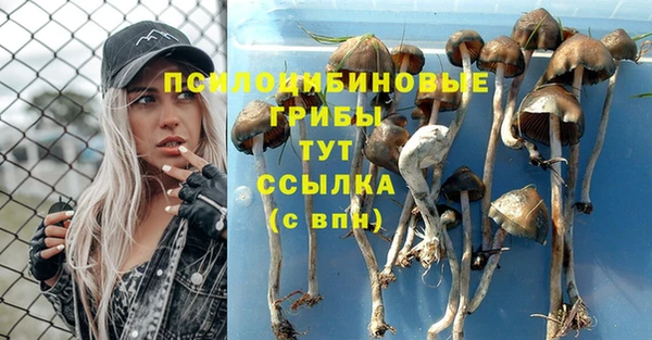 ALPHA PVP Заволжье