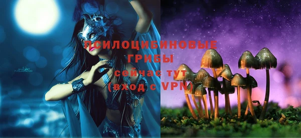 стаф Заволжск