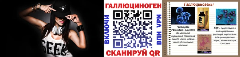 Купить закладки  Новосокольники  Галлюциногенные грибы Cubensis 